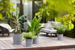 greensense aqua care rond 35cm licht beton